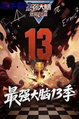 最强大脑第13季