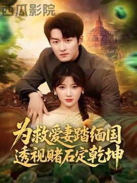 为救爱妻踏缅国透视赌石定乾坤